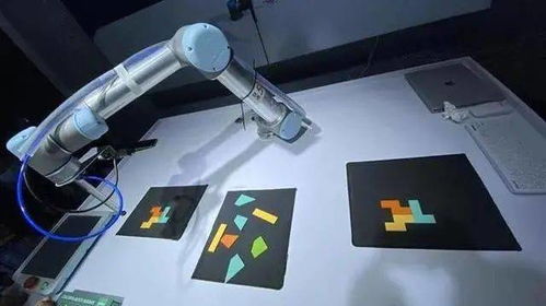 專家支招，黑科技亮相 這場(chǎng)展會(huì)連接武漢未來(lái)生活場(chǎng)景